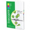 Inapa - Palet  48 Cajas 5 paquetes A4 100gr